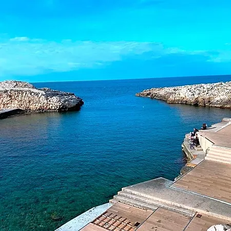 Amare Polignano